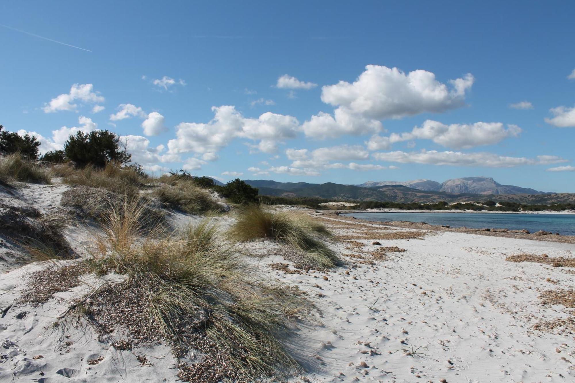 Villetta 1.2 Km Dalla Spiaggia Budoniaffitti Tanaunella Esterno foto