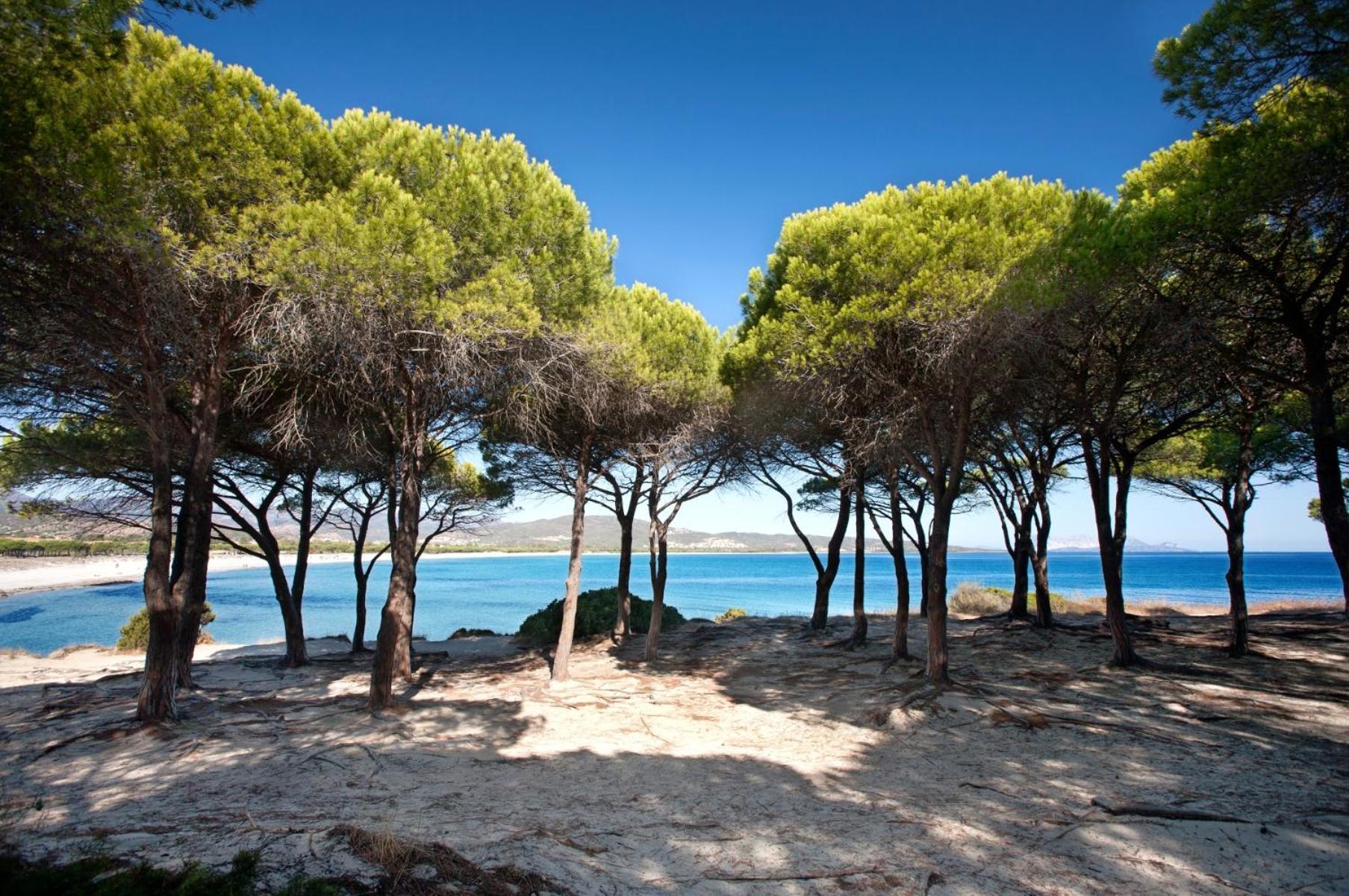 Villetta 1.2 Km Dalla Spiaggia Budoniaffitti Tanaunella Esterno foto